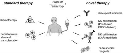 Natural Killer Cell-Based Cancer Immunotherapies: From Immune Evasion to Promising Targeted Cellular Therapies